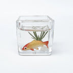 1:12 Miniature Model Mini Fish Tank Bowl Simulation Aquarium Scene Model For Home Desktop Ornament Dollhouse Toys Decoration