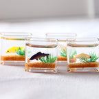 1pc Doll Aquarium Dollhouse Miniature Glass Fish Tank Bowl Aquarium Doll House Home Ornament Toys for Dollhouse Decor Toys