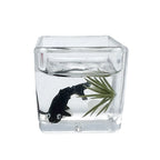 1:12 Miniature Model Mini Fish Tank Bowl Simulation Aquarium Scene Model For Home Desktop Ornament Dollhouse Toys Decoration