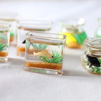 1pc Doll Aquarium Dollhouse Miniature Glass Fish Tank Bowl Aquarium Doll House Home Ornament Toys for Dollhouse Decor Toys