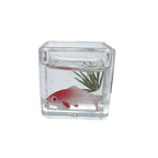 1:12 Miniature Model Mini Fish Tank Bowl Simulation Aquarium Scene Model For Home Desktop Ornament Dollhouse Toys Decoration